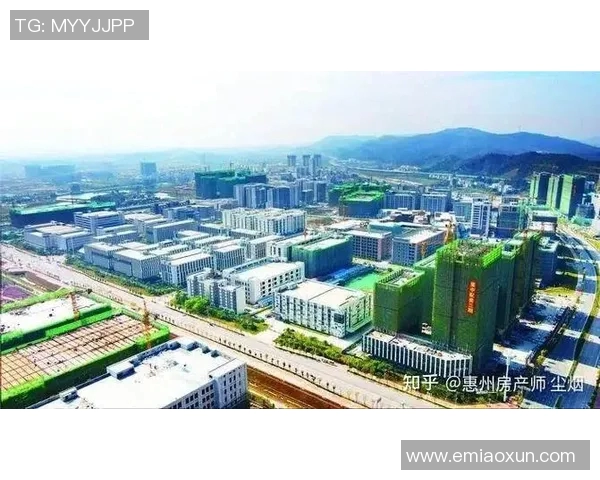 惠州楼市崩盘:深圳人投资房产惨遭腰斩,烂尾楼成为致命伤(深圳惠州房价)